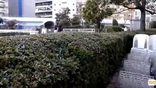 国产一区二区vr